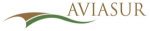 Logo-Aviasur-Alta-1-300x61-1-150x31